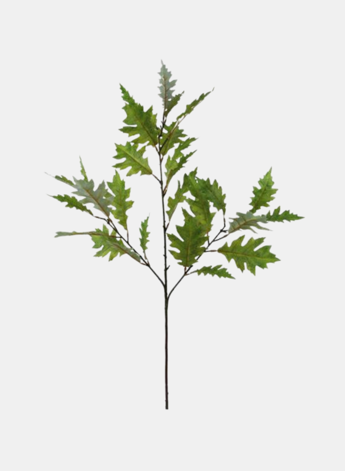 35"L OAK LEAVES SPRAY GREEN/YELLOW