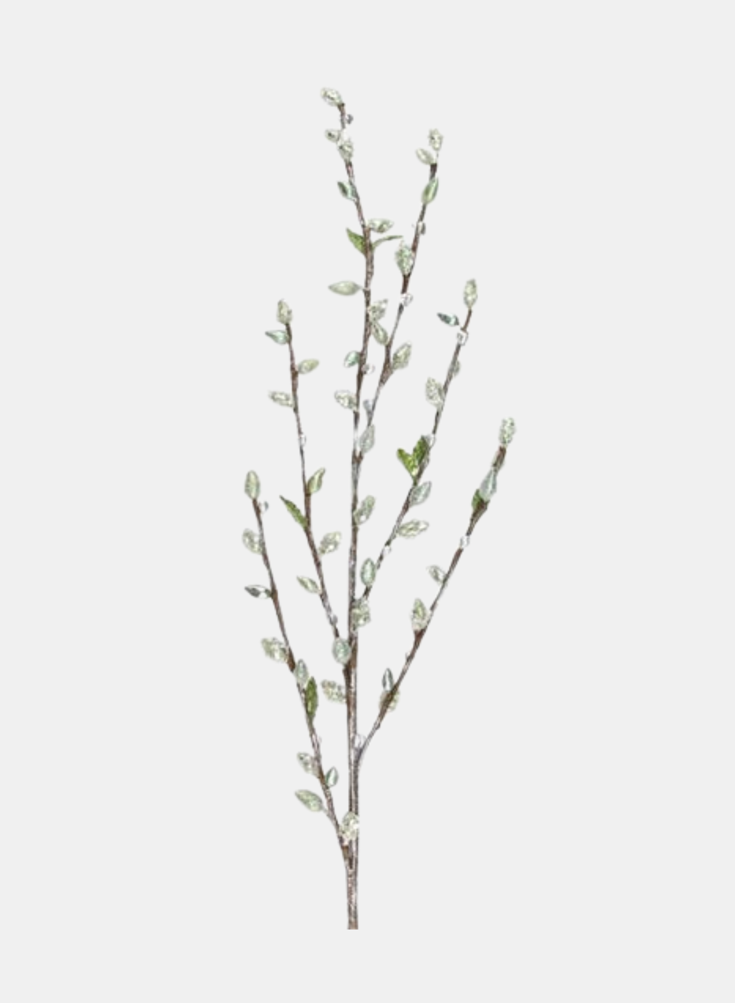 42"L PUSSY WILLOW SPRAY PISTACHIO/SOFT GREEN