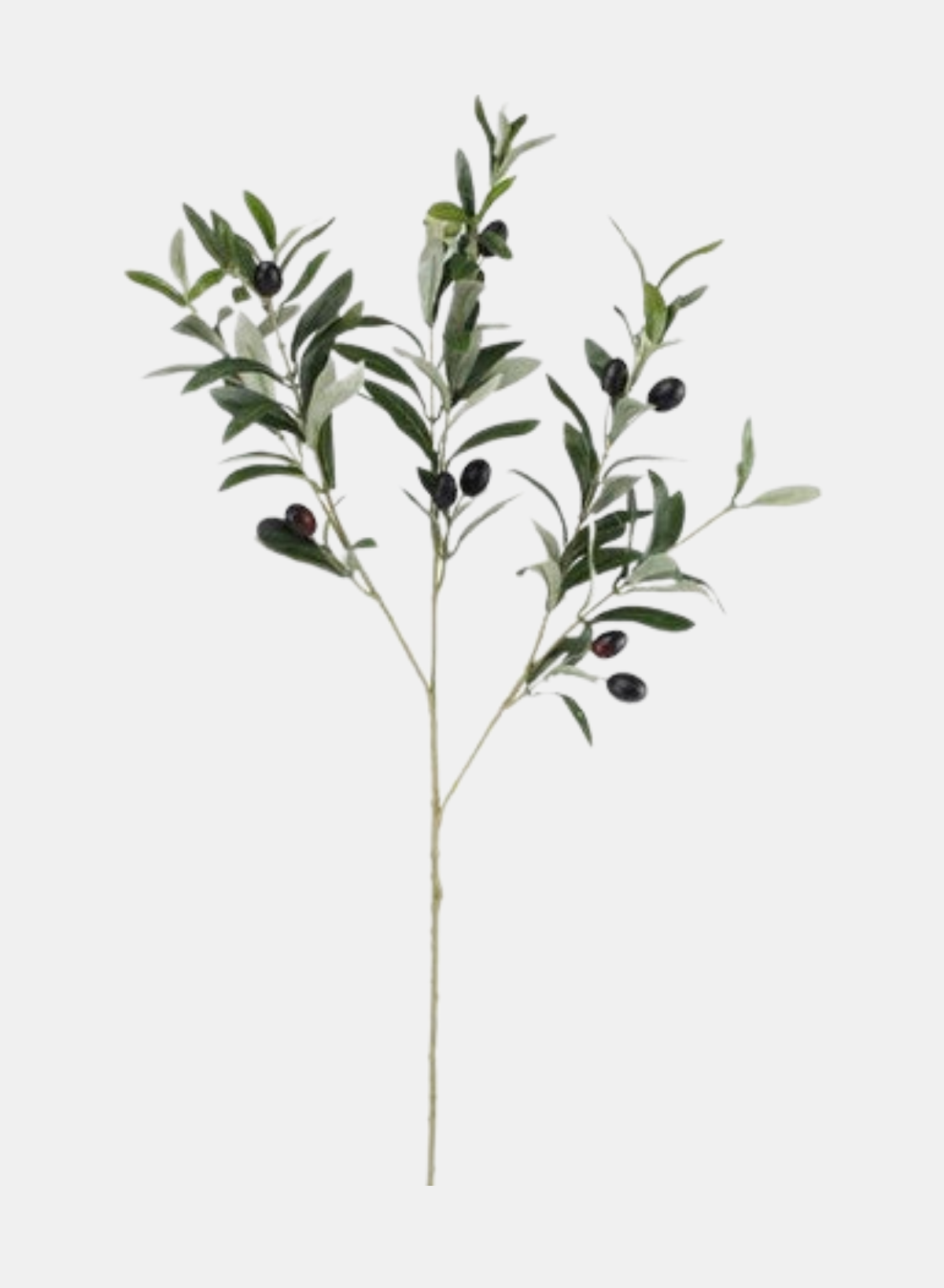 28"L GREEN OLIVE SPRAY WITH PLUMP BLACK AND BURGUNDY GREEN OLIVES