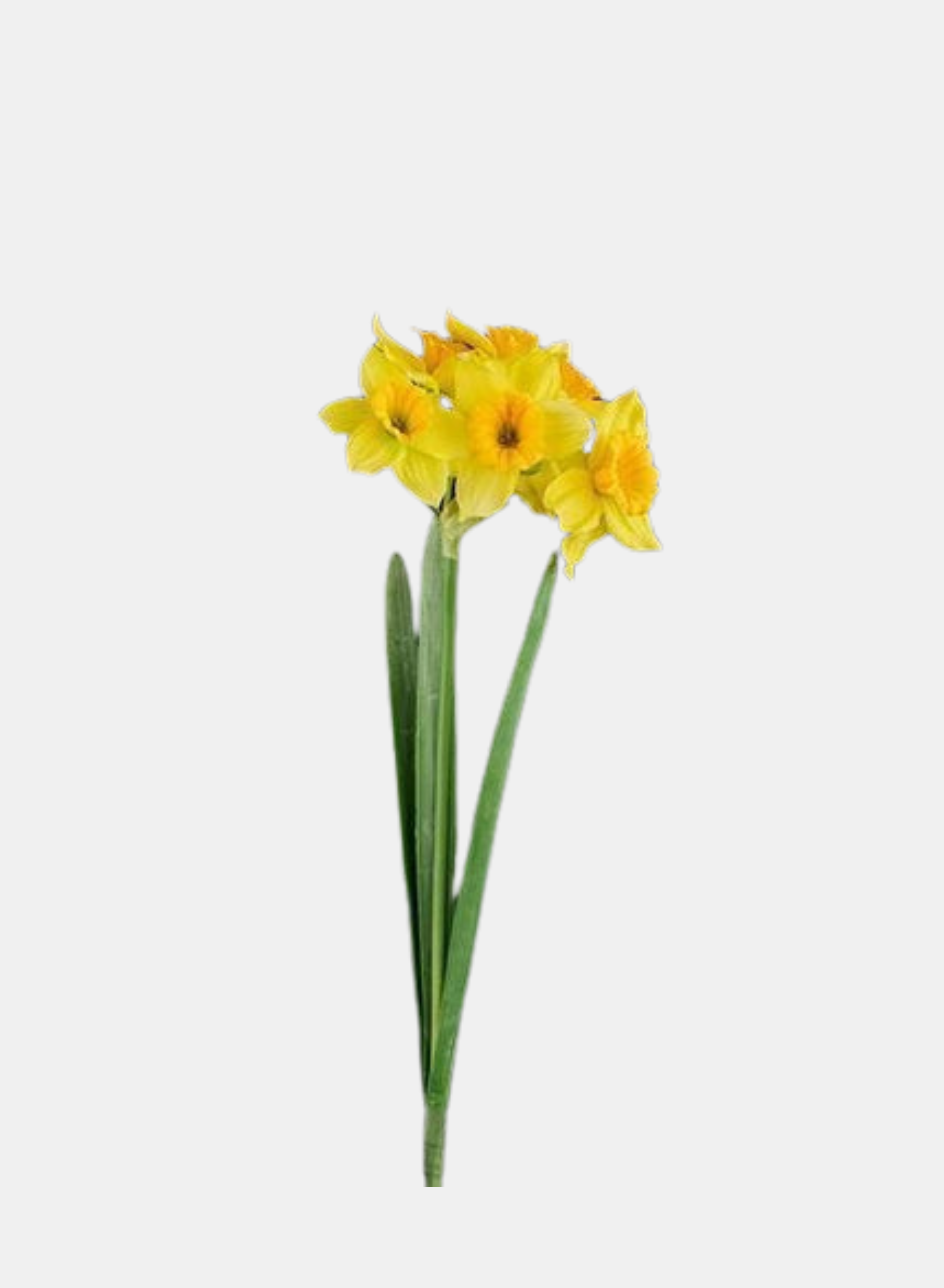 18"L DAFFODIL SPRAY YELLOW