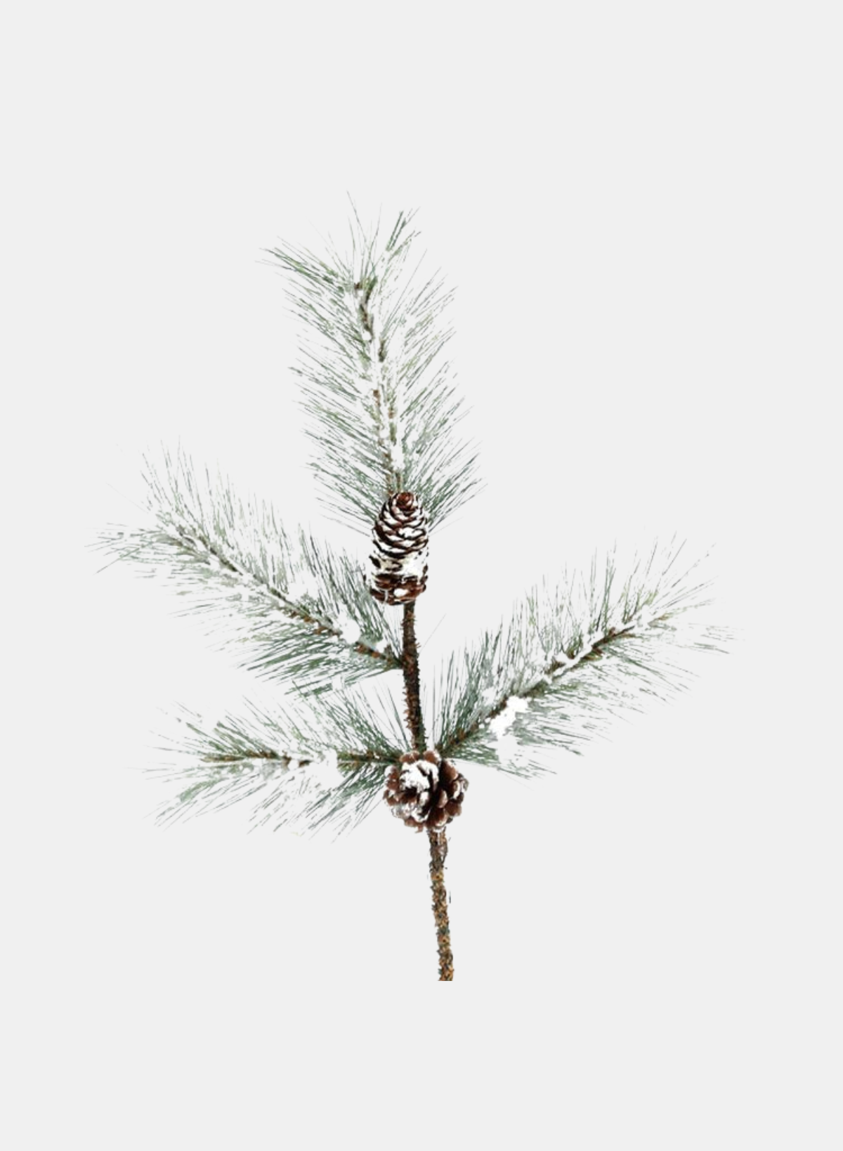 18" WINTER PINE SPRAY X 4 TIPS, GREEN/WHITE WITH PINE CONES