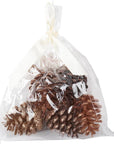 Small Pinecone Christmas Ornament Set