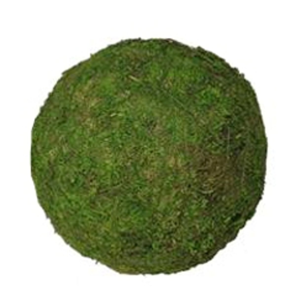 Moss Ball - Green - 8" Medium - Packed 4