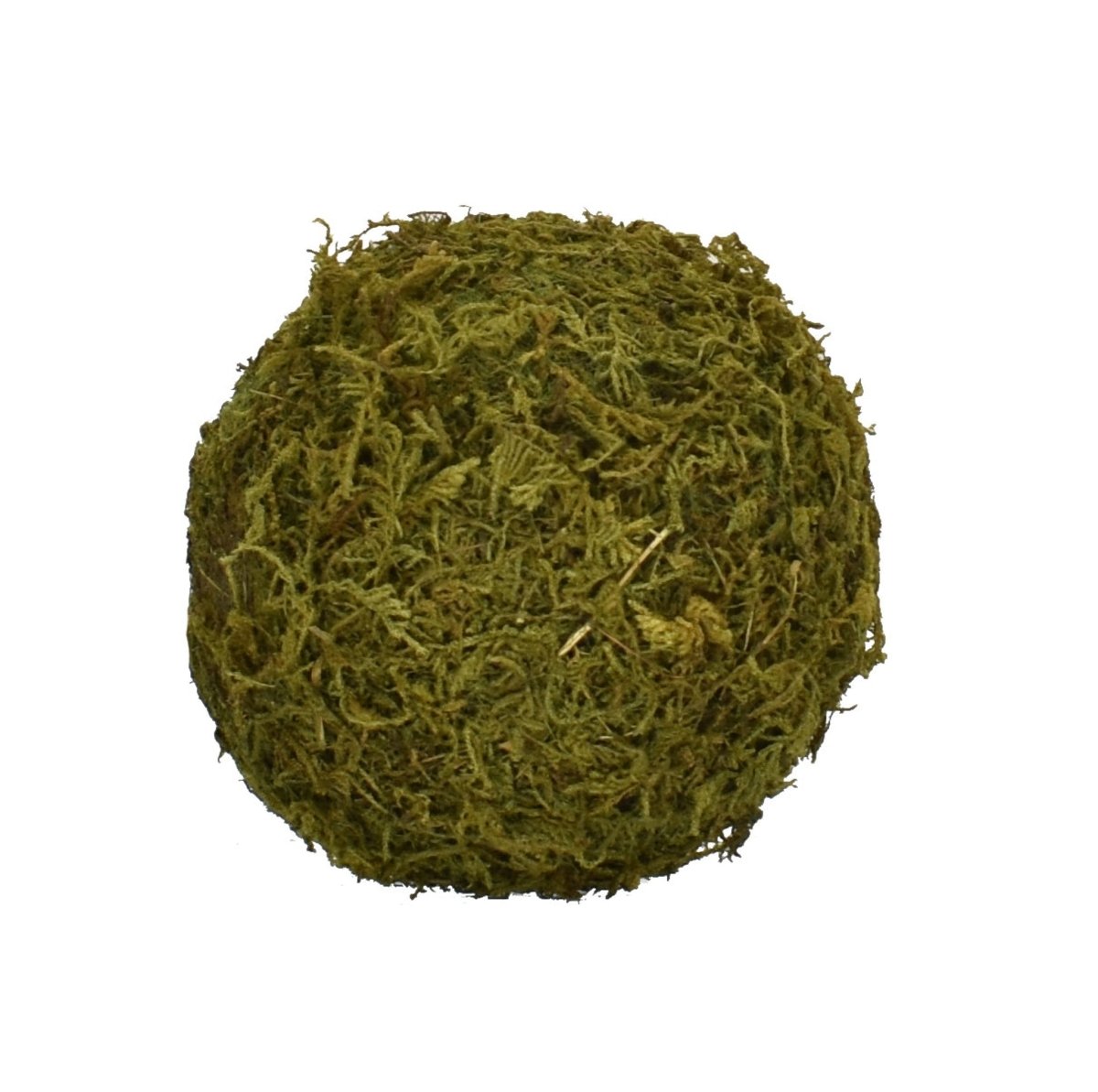 Mossy Sphere - 5 Inch