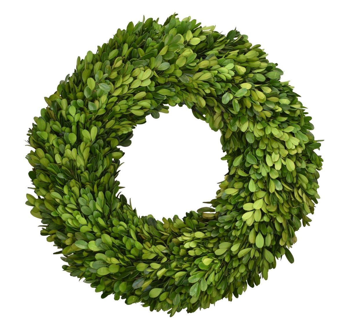 Preserved Boxwood Candle Ring - 8 Inch