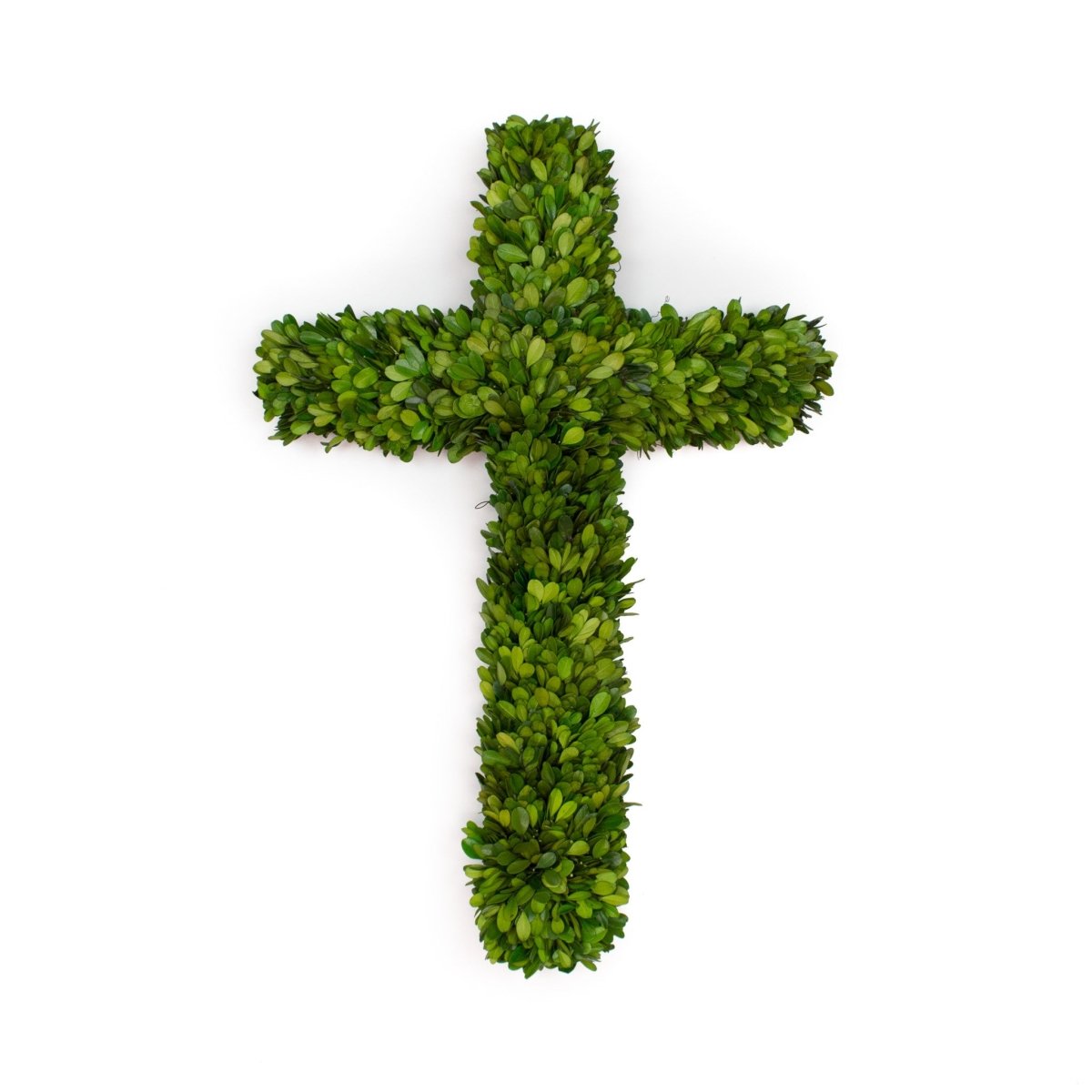 Preserved Boxwood Cross - 24" X 16" X 3