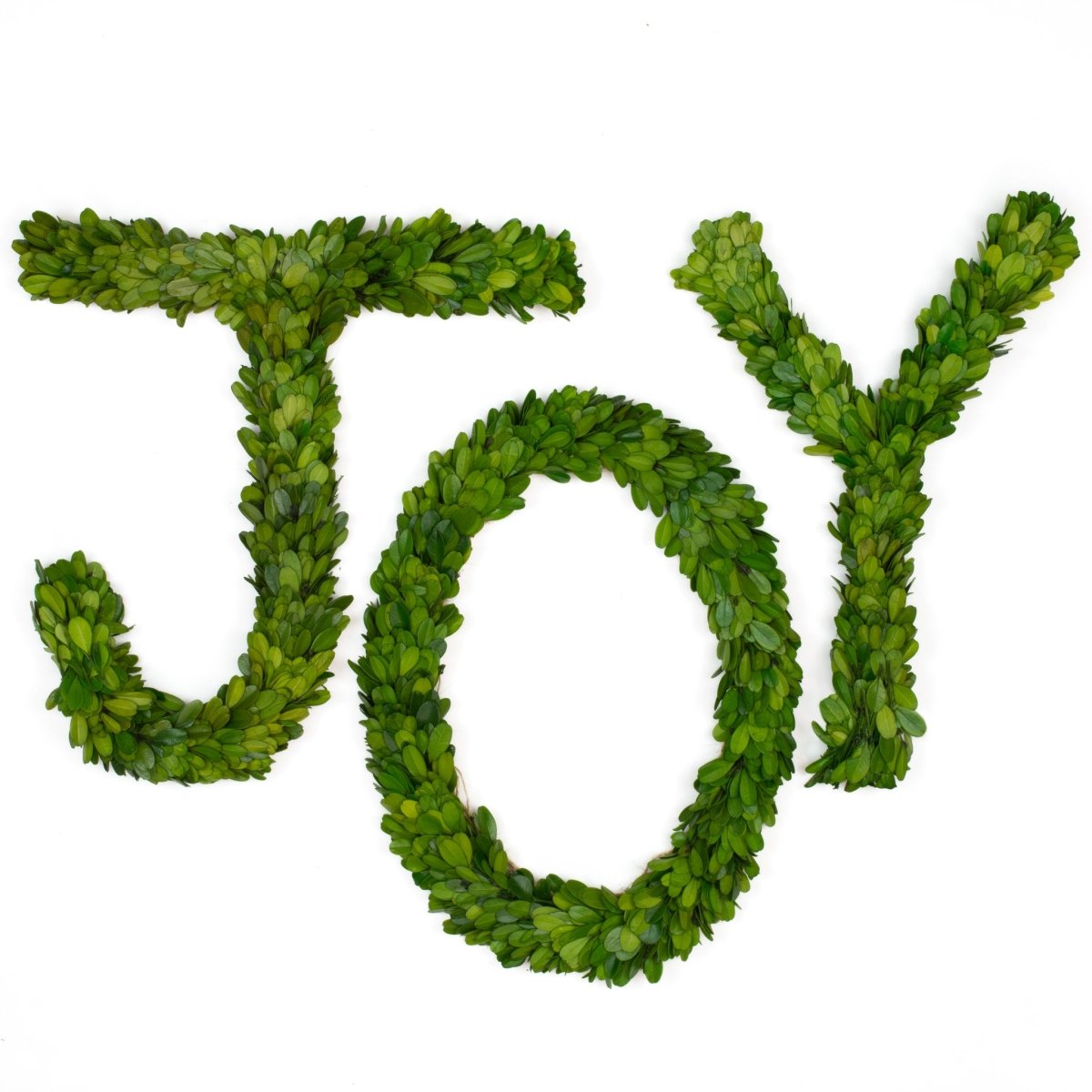 Preserved Boxwood Joy 12 Inch - 3 Piece Set