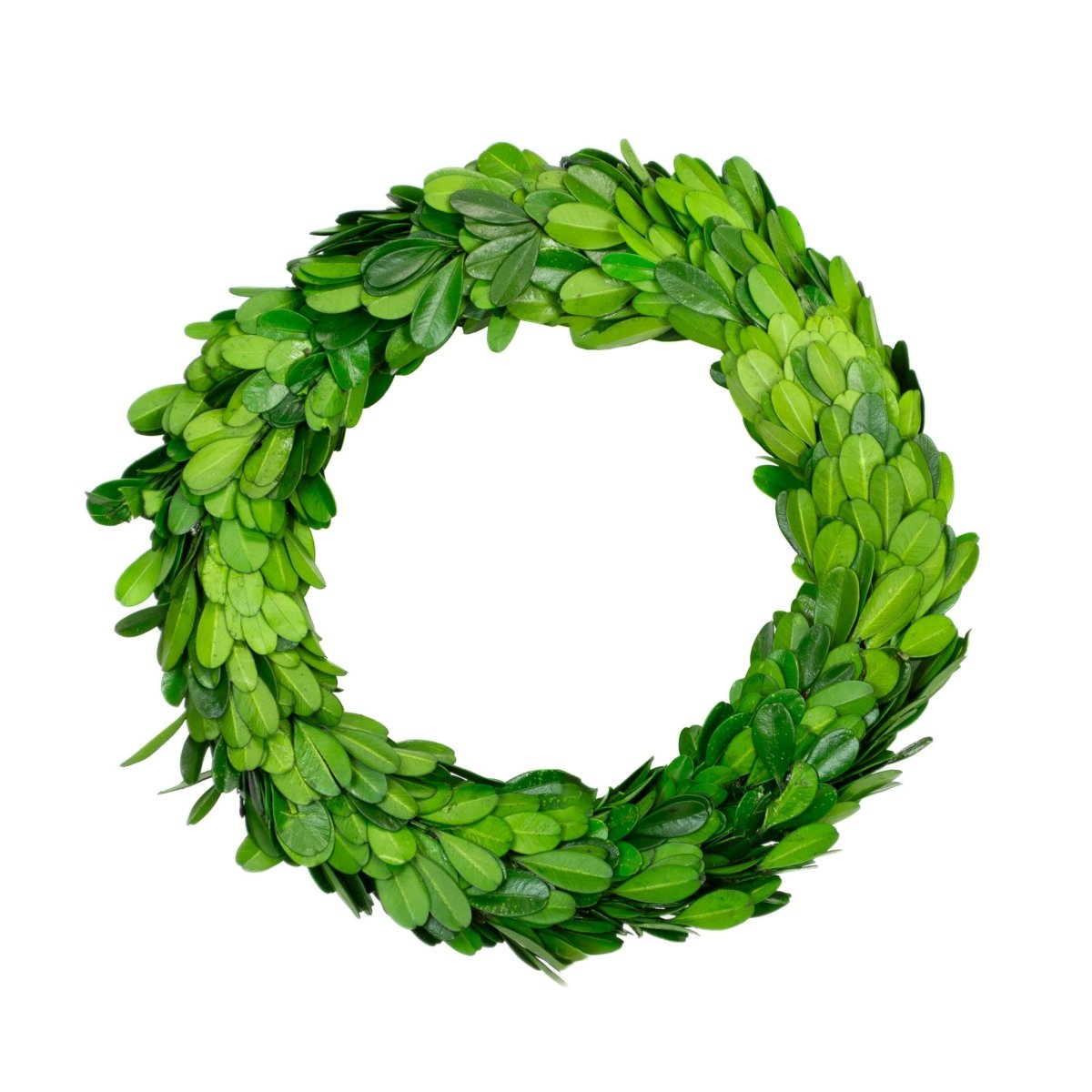 Preserved Boxwood Wreath Double Sided No Ribbon - 8 Inch