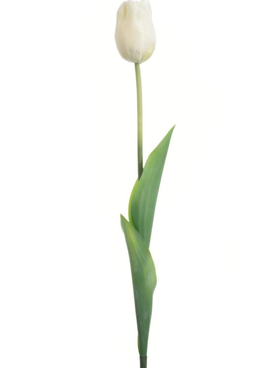 Real Touch 19 inch Single Tulip - Multiple Colors