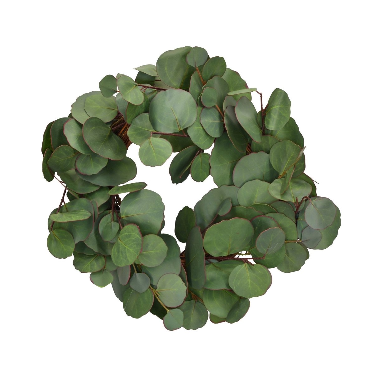 Silver Dollar Eucalyptus Wreath - 12 Inch
