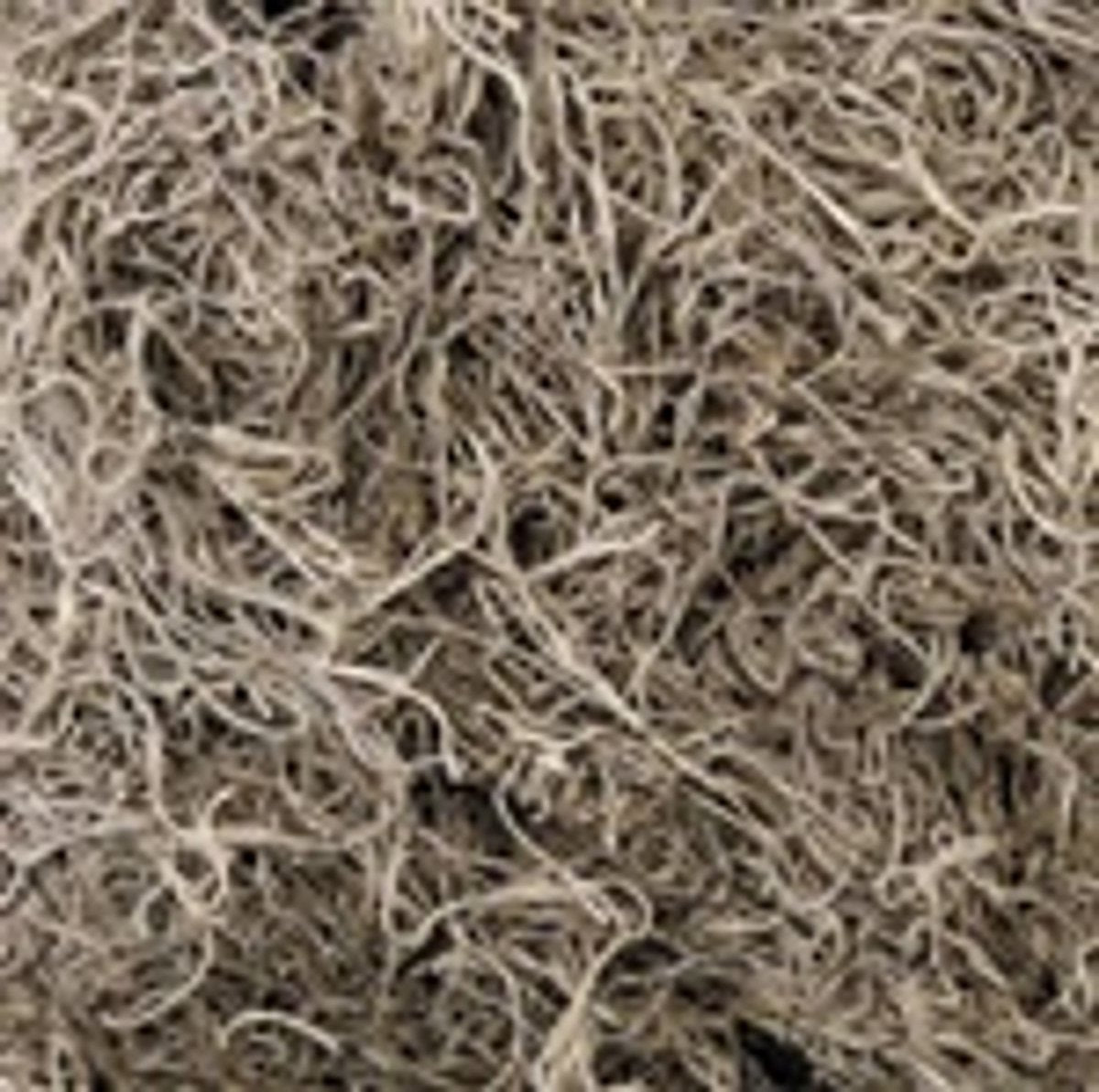 Spanish Moss - Natural - 1.24 Cubic Ft