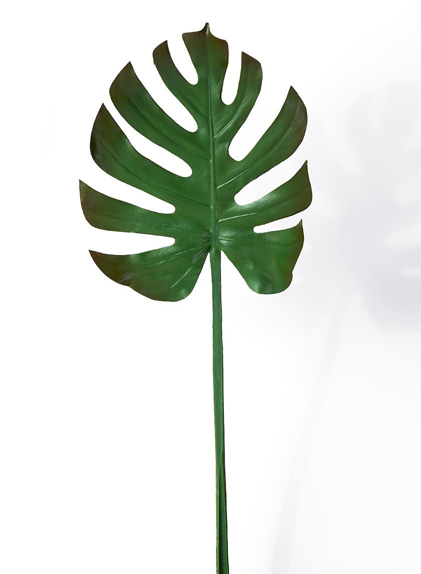 Turtle Leaf Spray