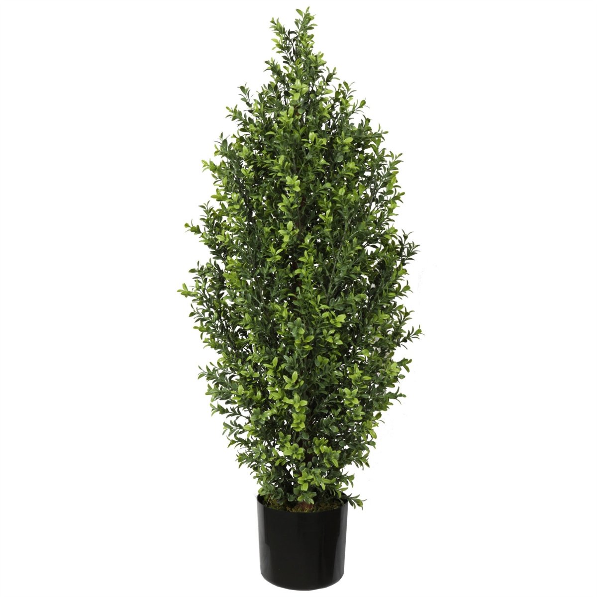 Uv Boxwood Shrub 36" Topiary