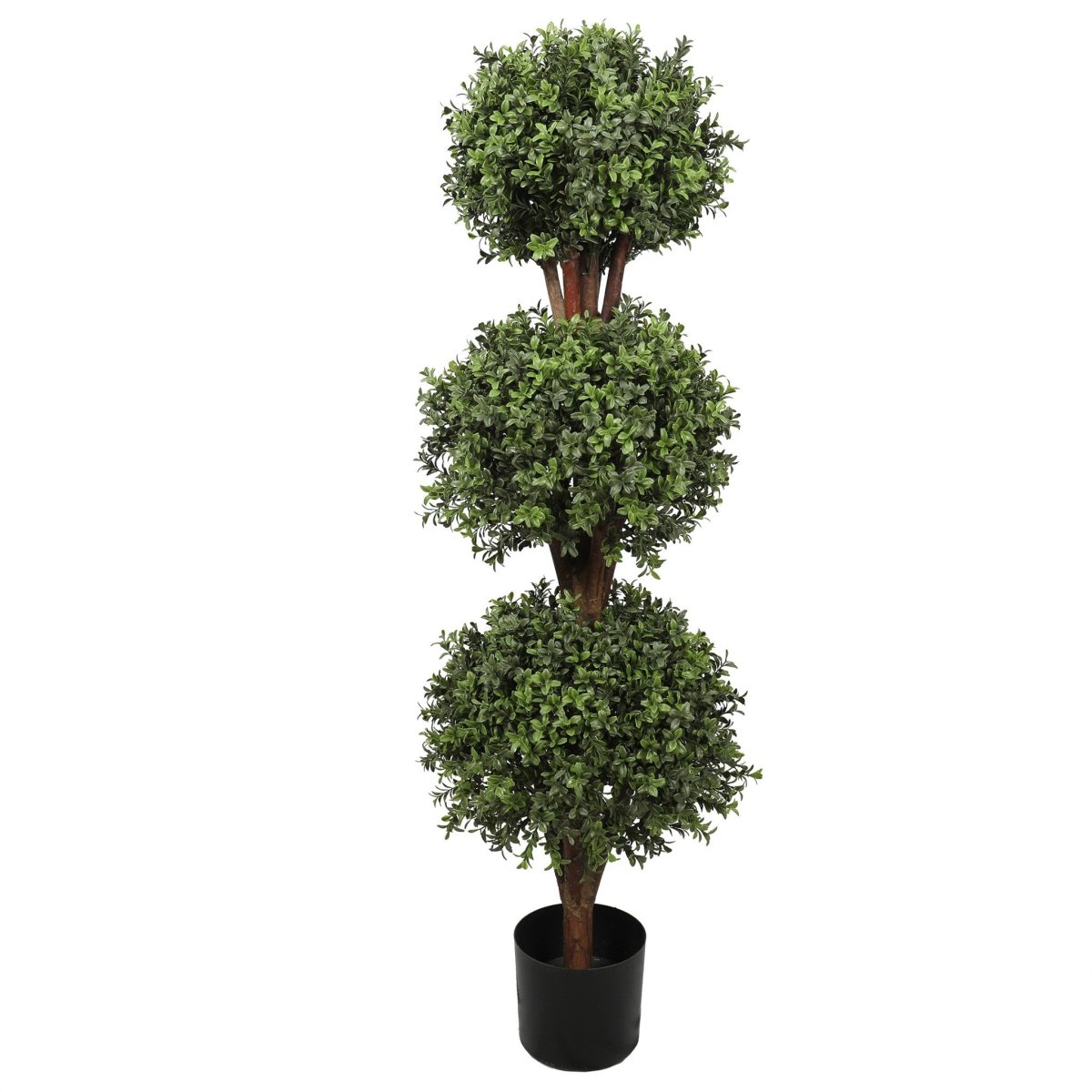 Uv Boxwood Triple Ball 48" Topiary