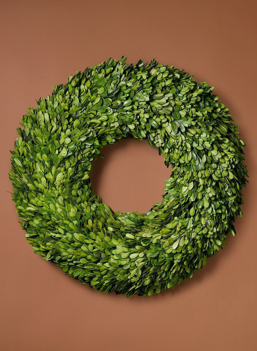 18 in Preserved Boxwood Wreath