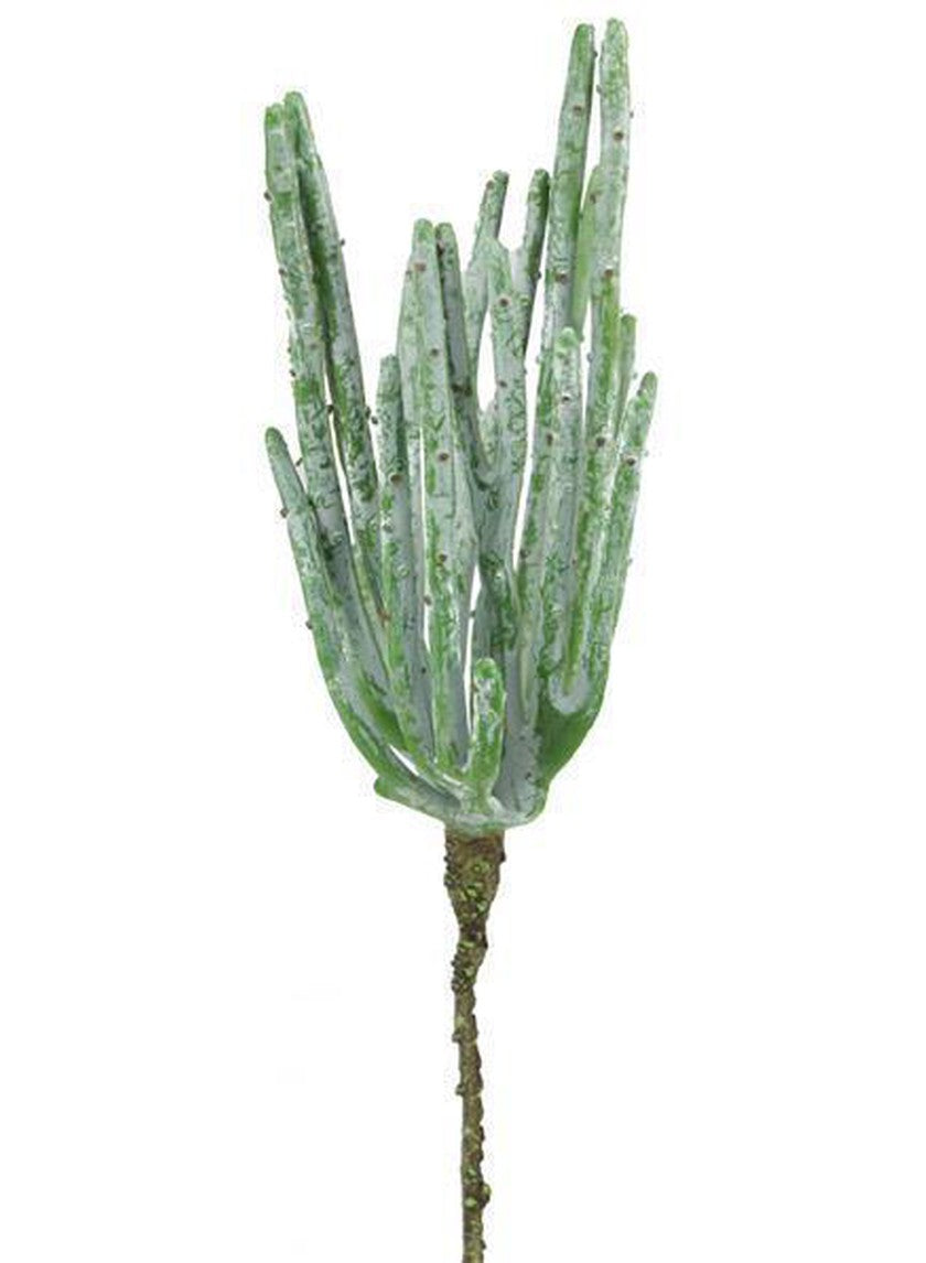 10"L PENCIL CACTUS PICK GREEN