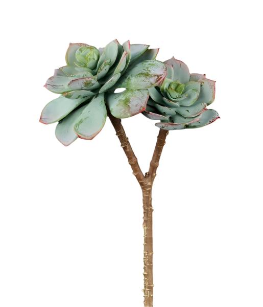 10"L UV SHIELD SUCCULENT PICK DUSTY GREEN WITH BURGUNDY