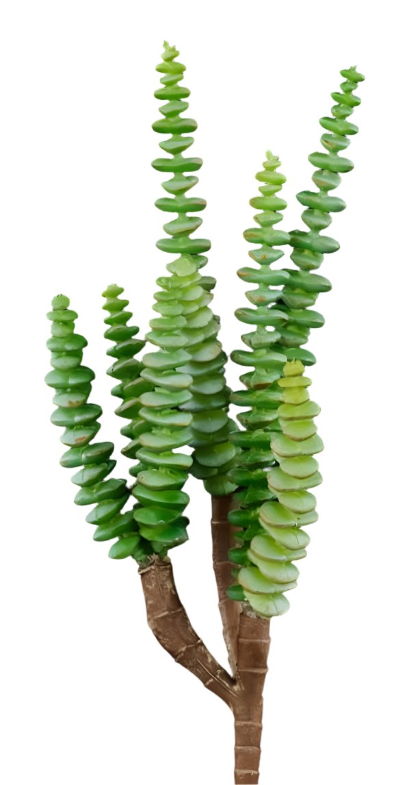 11.5"L UV SHIELD SUCCULENT PICK GREEN WITH BLUE