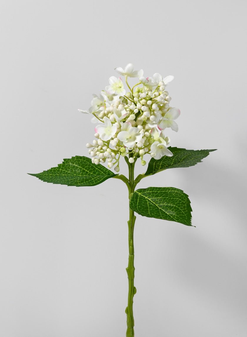 15 in Budding Hydrangea Spray