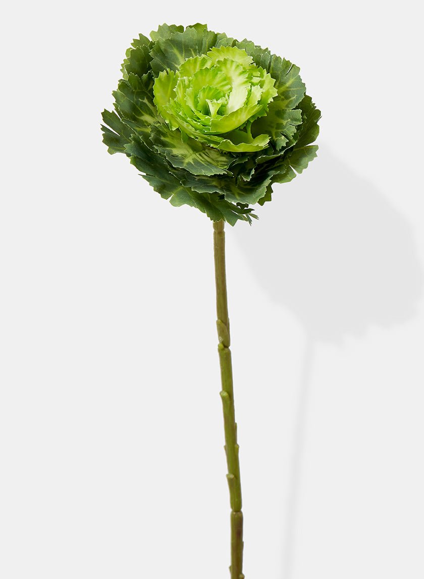 15 in Green Ornamental Cabbage Pick