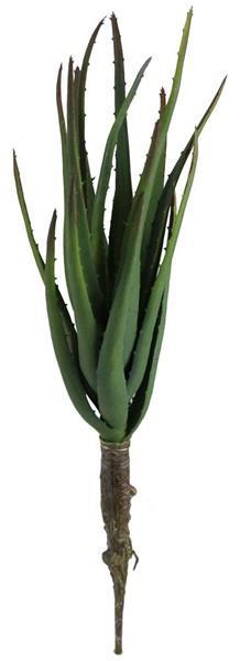 16" ALOE PLANT W/18 LEAVES DUSTY 2 - TONE GREEN/RED