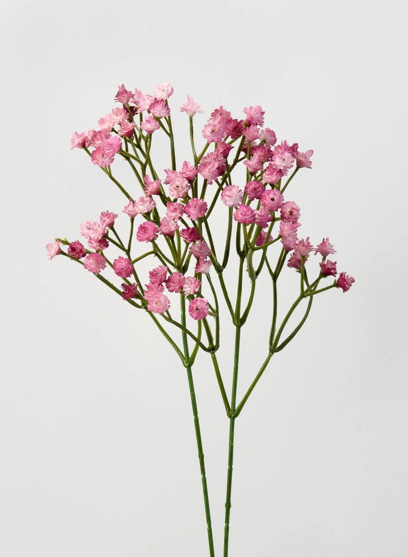 16 in Blush Gypsophila Spray