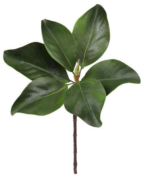 16"L GREEN MAGNOLIA LEAF PICK