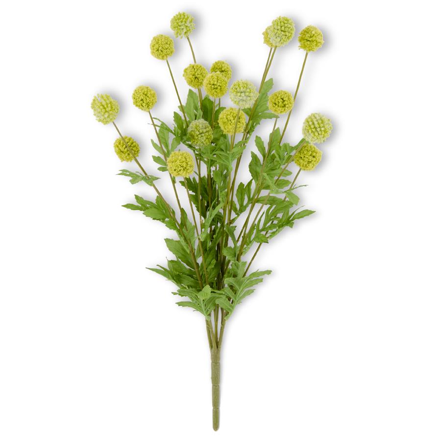 22 Inch Green Mini Allium Bush w/Foliage