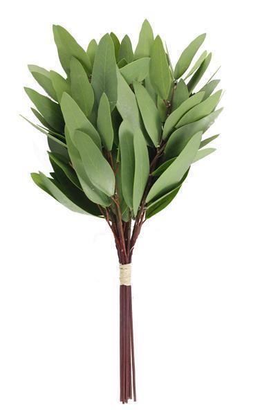 17"L GREEN LONG EUCALYPTUS SPRAY