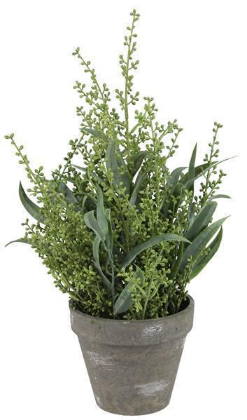 17"POTTED SEED/WILLOW EUCALYPTUS SAGE GREEN