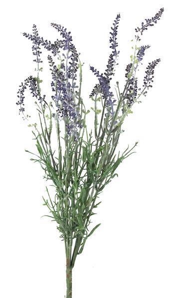 18"L LAVENDER BUSH BLUE