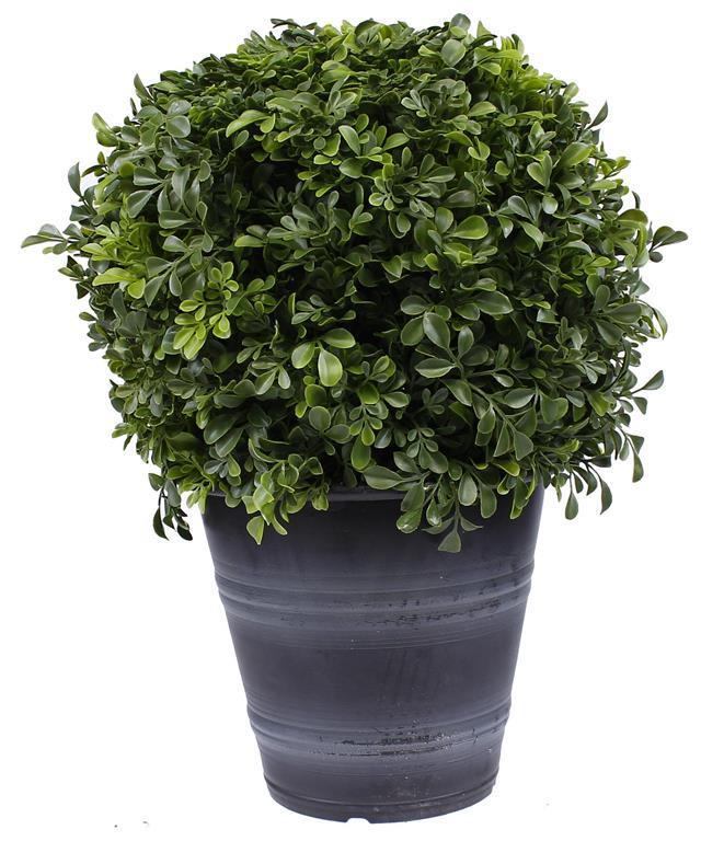 18"OAH POTTED 11" BOXWOOD BALL IN 9"DIA TT GREEN