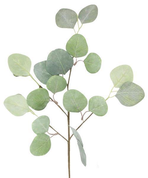 19"L EUCALYPTUS PICK GREEN