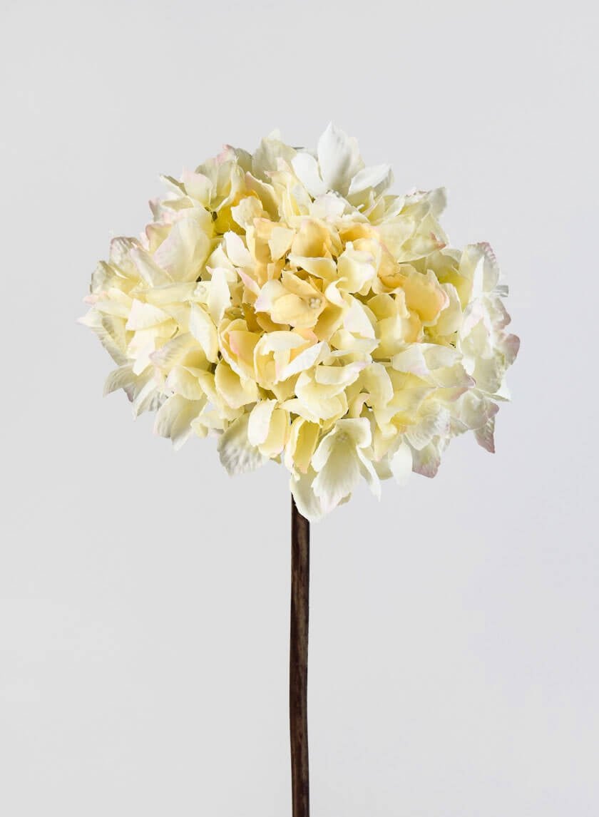 20 in Cream Single Hydrangea Spray