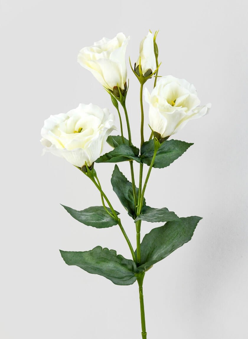 21 in Cream Lisianthus Spray