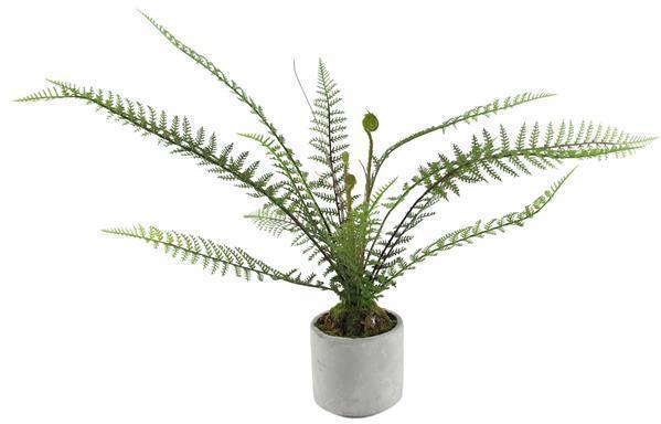 21.5"H POTTED FERN GREEN