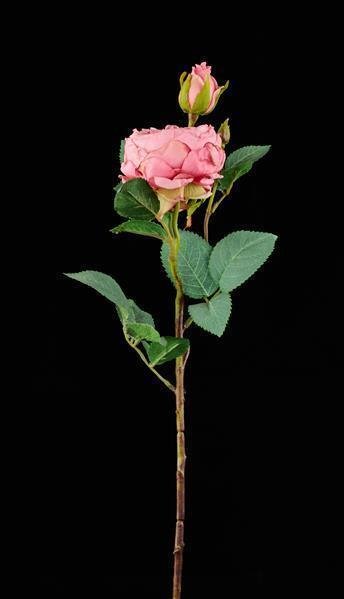 21"L ROSE/LEAF STEM DUSTY PINK