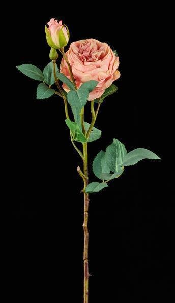 21"L ROSE/LEAF STEM PEACH/PINK