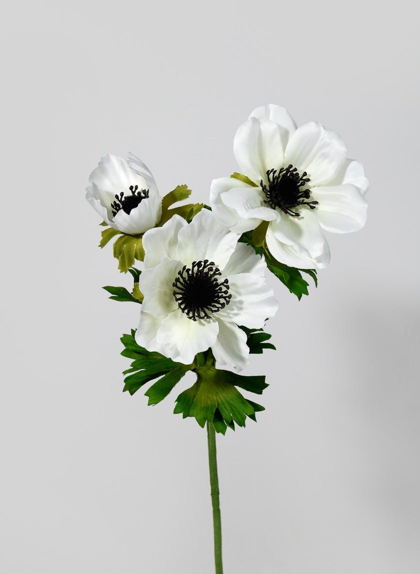 22 in Anemone Spray