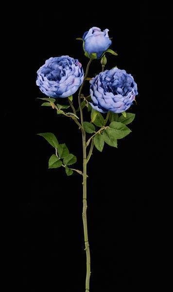 22"L CABBAGE ROSE SPRAY X3 BLUE