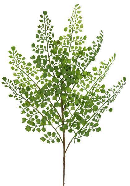 22"L MAIDENHAIR FERN SPRAY MIX GREEN