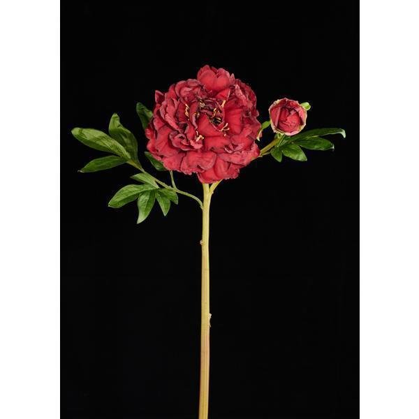 22"L PEONY SPRAY RED