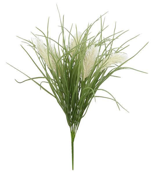 23.75"L MAYACA SELLOWIANA GRASS WHITE/GREEN