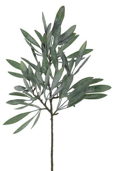 23"L EUCALYPTUS SPRAY GREY GREEN