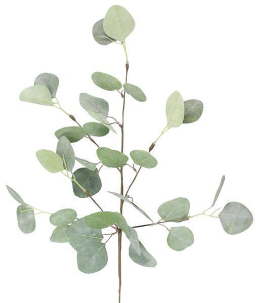 24"L EUCALYPTUS SPRAY GREEN