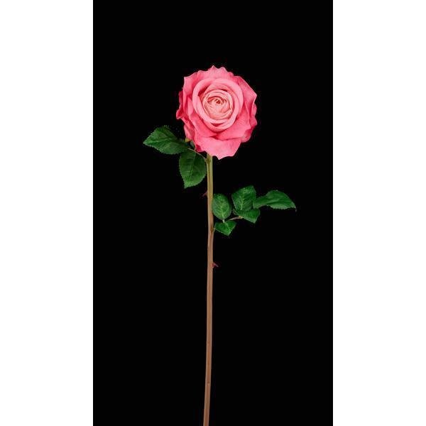 24"L FABRIC ROSE STEM DARK PINK