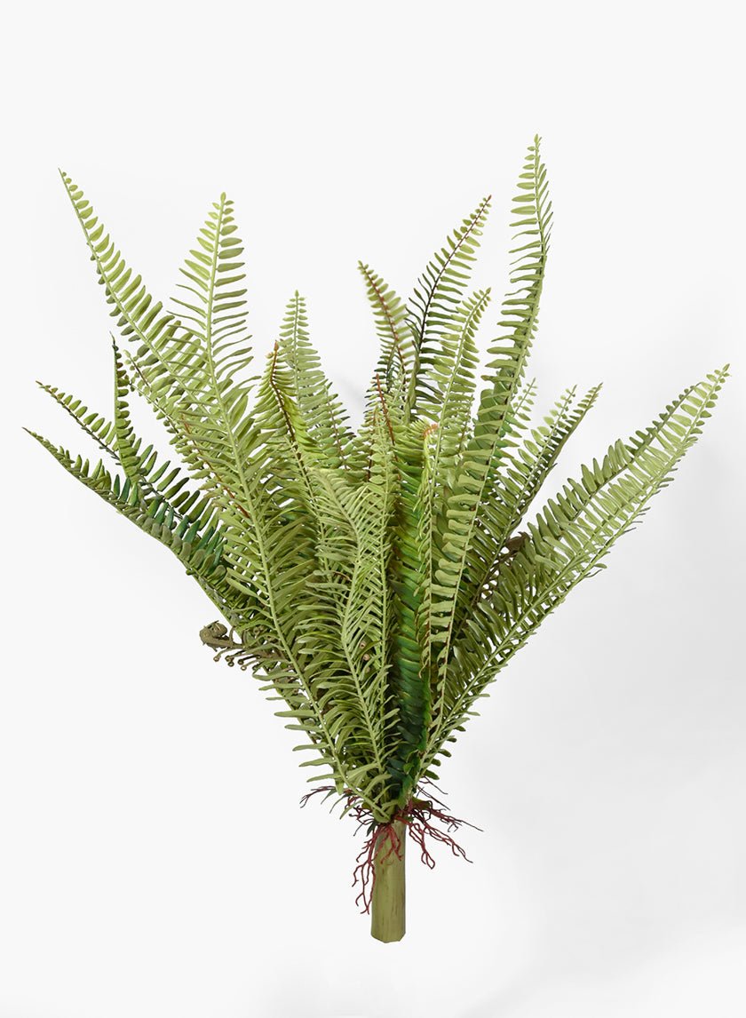 25 in Leather Fern Bush