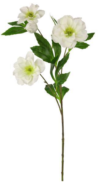 25.5"L LENTEN ROSE SPRAY WHITE/GREEN