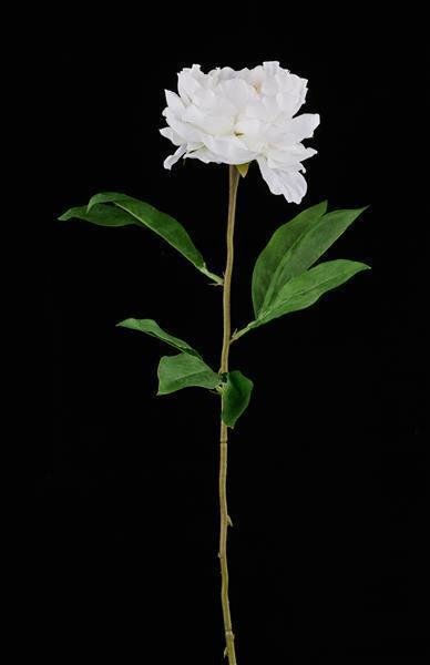 25.5"L PEONY STEM CREAM/WHITE