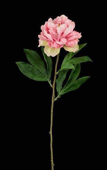 25.5"L PEONY STEM MULTI PINK